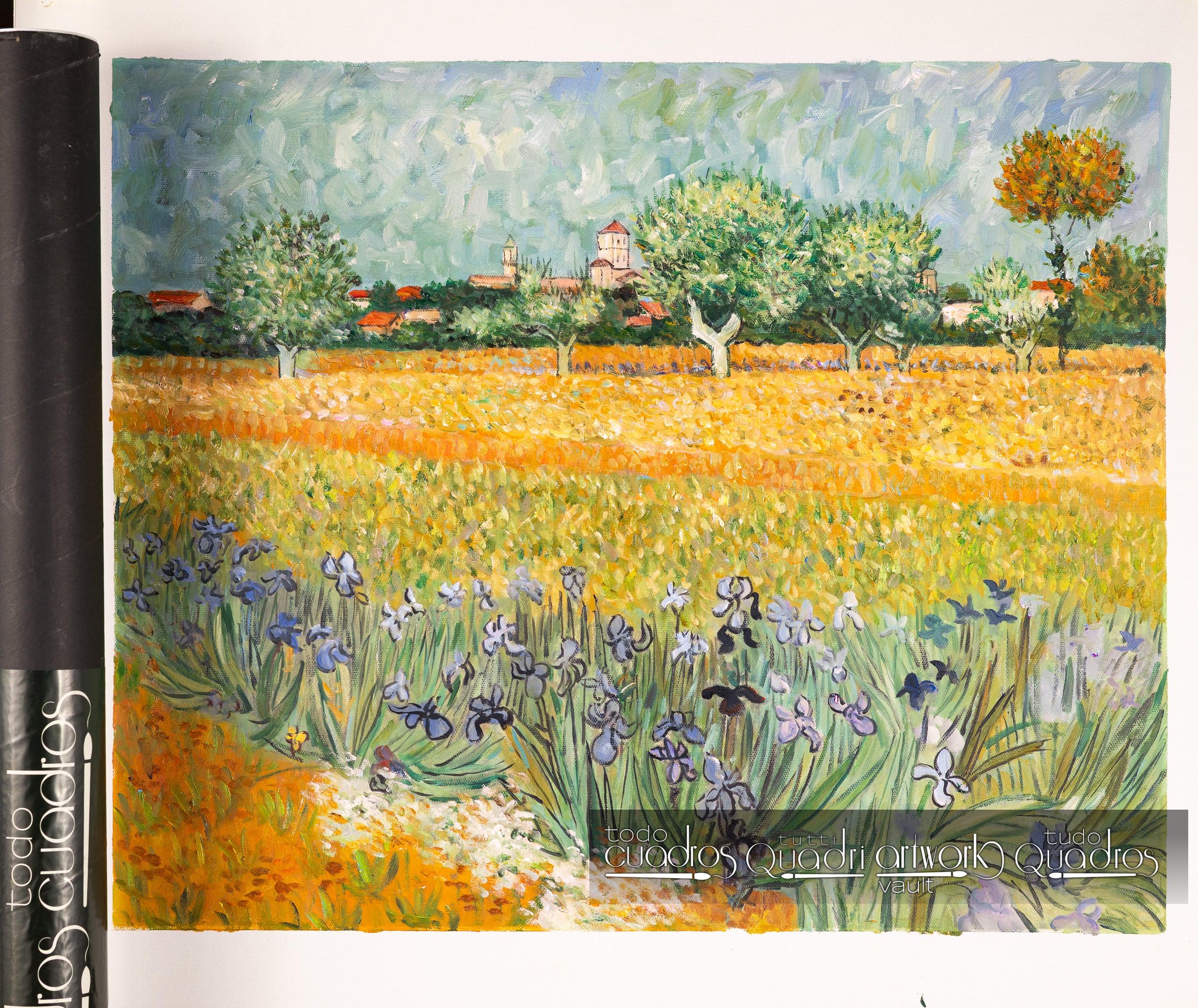 Field with Irises near Arles, Van Gogh