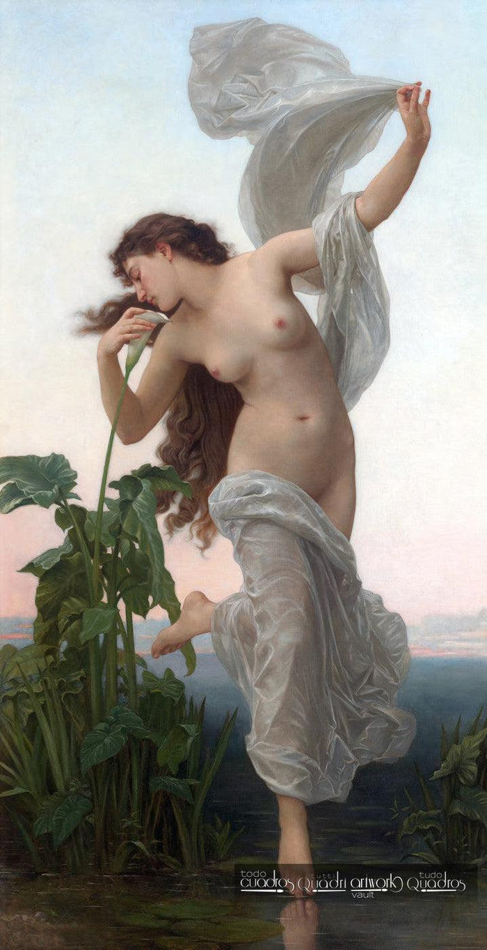 The Dawn